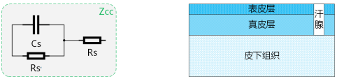 1670808018755076.png 5.png