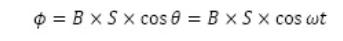 1735870018166750.jpg 9.jpg